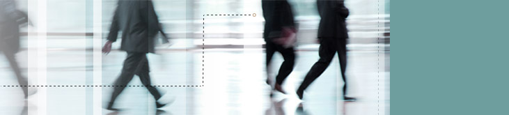 Tingley Piontkowski Law Firm